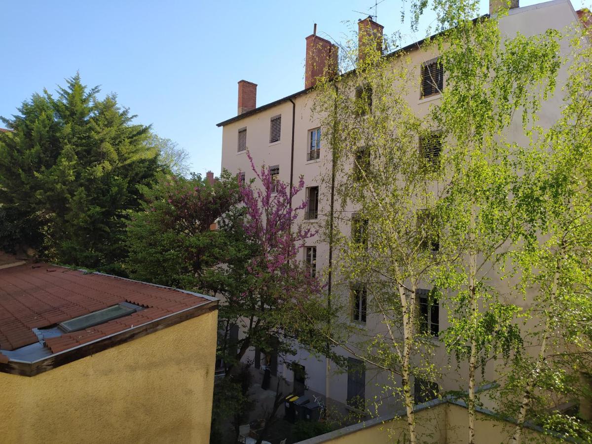Berge Du Rhone, Centre Lyon, Espace De Travail, Tout A Pied, Universite Lyon 2 Et Lyon 3, Ideal Voyage D'Affaires, Tourisme, Loisirs Buitenkant foto
